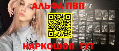 спиды Кингисепп