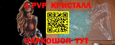 спиды Кингисепп