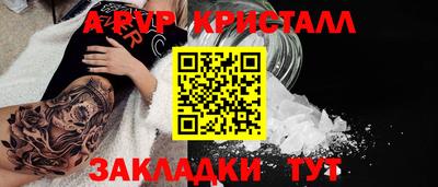 спиды Кингисепп