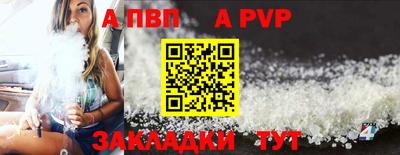 спиды Кингисепп