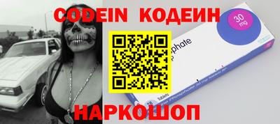 спиды Кингисепп
