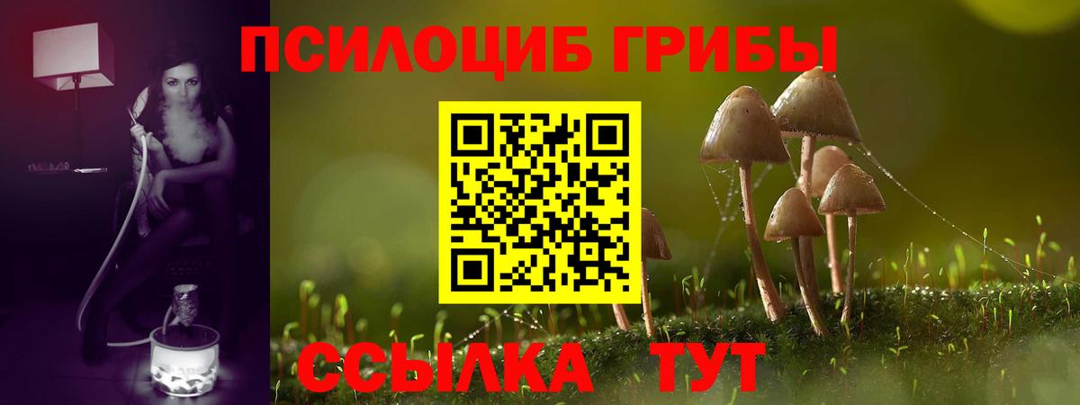 Псилоцибиновые грибы прущие грибы  Псилоцибиновые грибы MAGIC MUSHROOMS  Кстово  наркота  Вход с VPN 